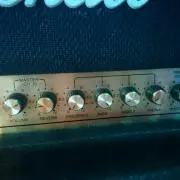 NEW今野の画像