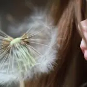 ふわもこ
