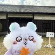 Image of momo