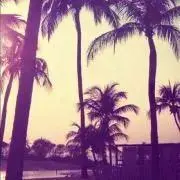 taの画像