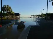 moanaの画像