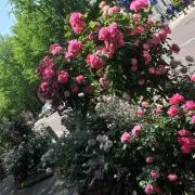 pk6719の画像