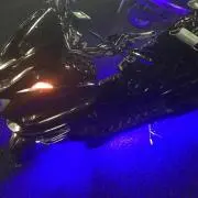 Ryuの画像