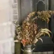 hactloの画像
