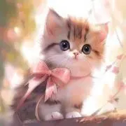 にゃんにゃんの画像