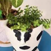 ゆーの画像