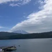 げんがの画像