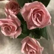 リリ