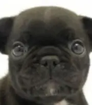ニックの画像