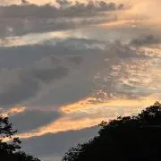 Mの画像
