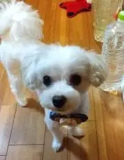 non♪プロフ必読