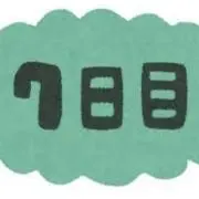 7日目の画像