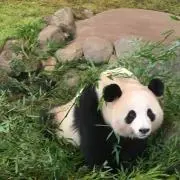 あたりめさん