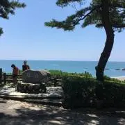 まつの画像