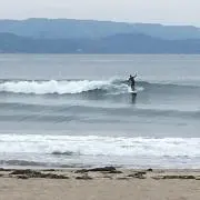 aloha…