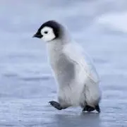 商品入れ替え中☺︎˚✧₊⁎の画像