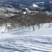 なおの画像