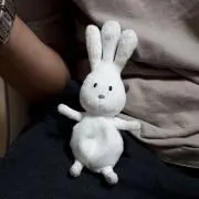 おじぎちゃんの画像