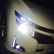 翼