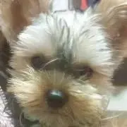 あっちゃんの画像