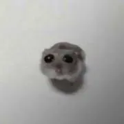 ぱの画像