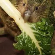 wwwの画像