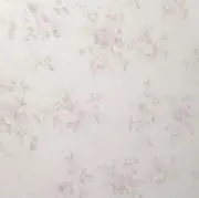 pの画像