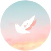Chidoriの画像