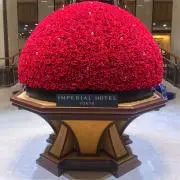 mrihotasoの画像