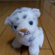 ママママさんの画像