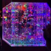nicoの画像
