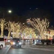 りゅうpompomの画像