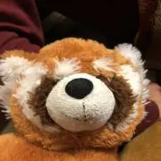 やっちい