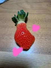 まーりさん
