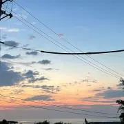 ゆの画像