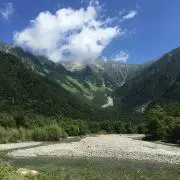 ふわりの画像