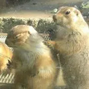 えりく☆値下げ中