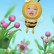 ムックの画像