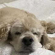 てっちゃんの画像