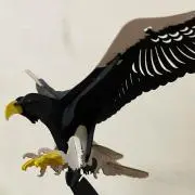 kodavidsの画像