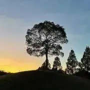 toto☆断捨離中の画像