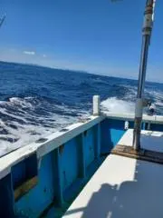 ウオの画像