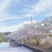 キャサリンの画像