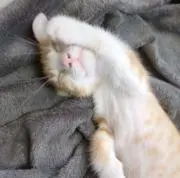 Naoの画像