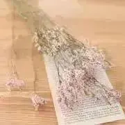 ちょ※プロフご一読ください