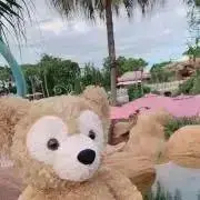 ノコン