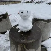 ちぇるちぇるらんどの画像