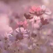 おと