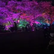 quukm_の画像