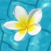 PUAの画像